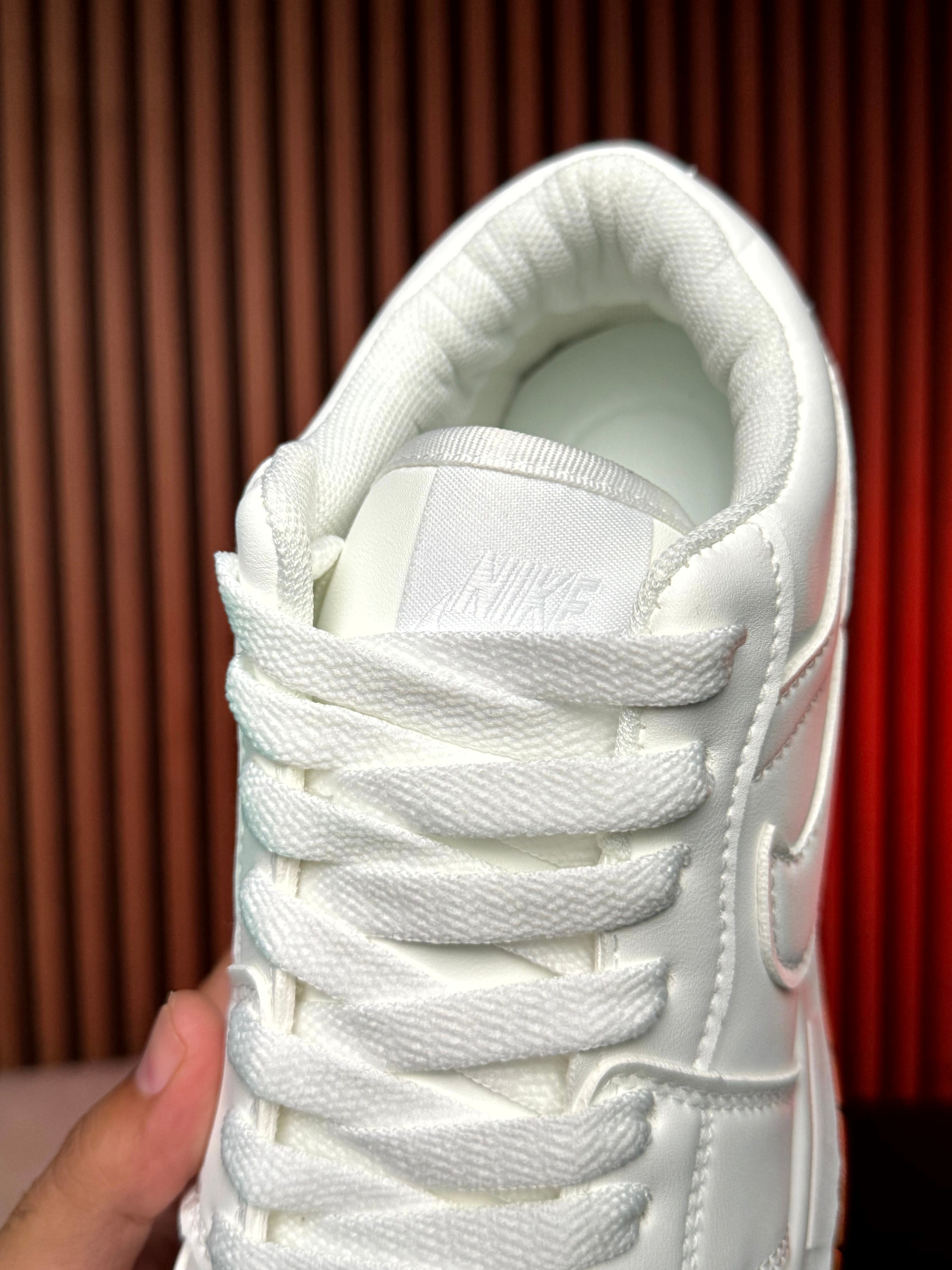 Nike dunk low white white