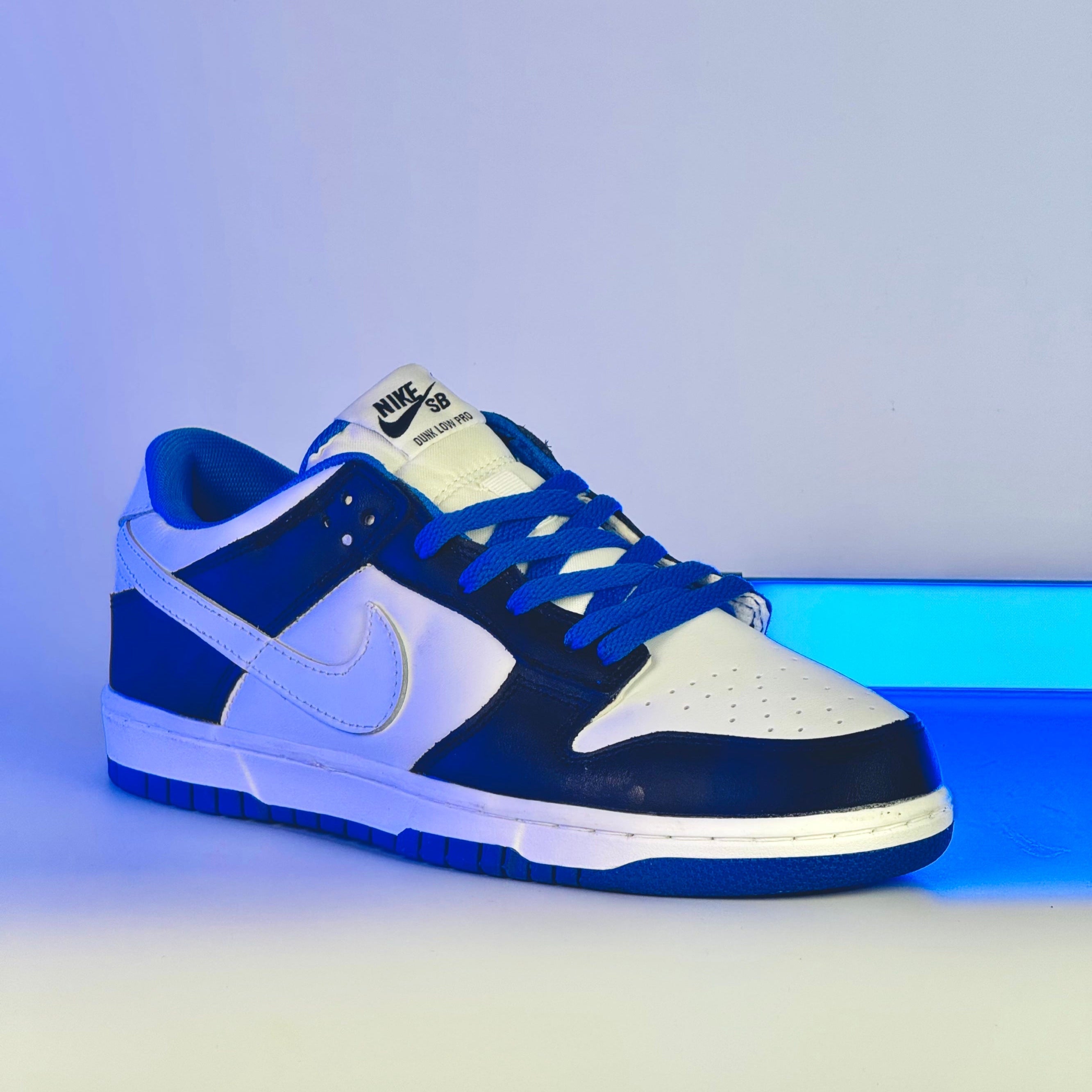 Nike SB dunk low pro blue