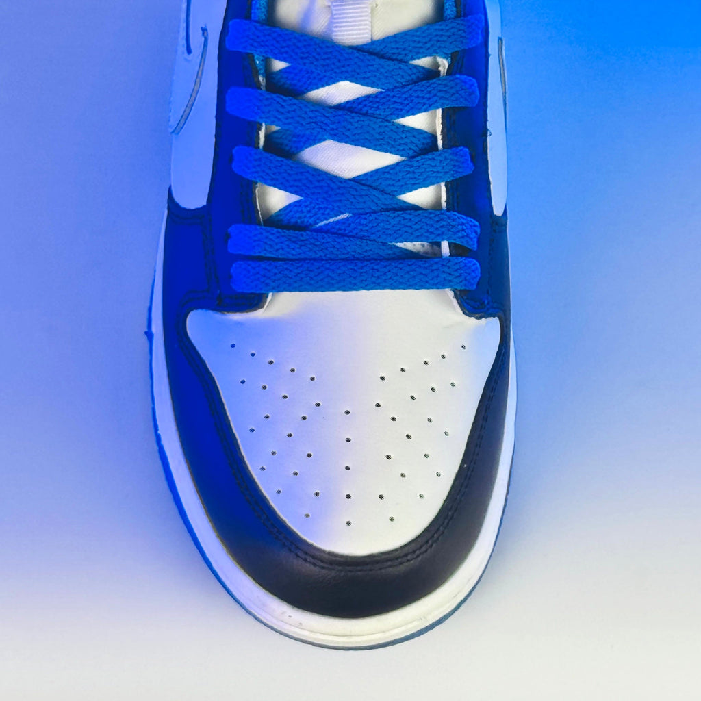 Nike SB dunk low pro blue