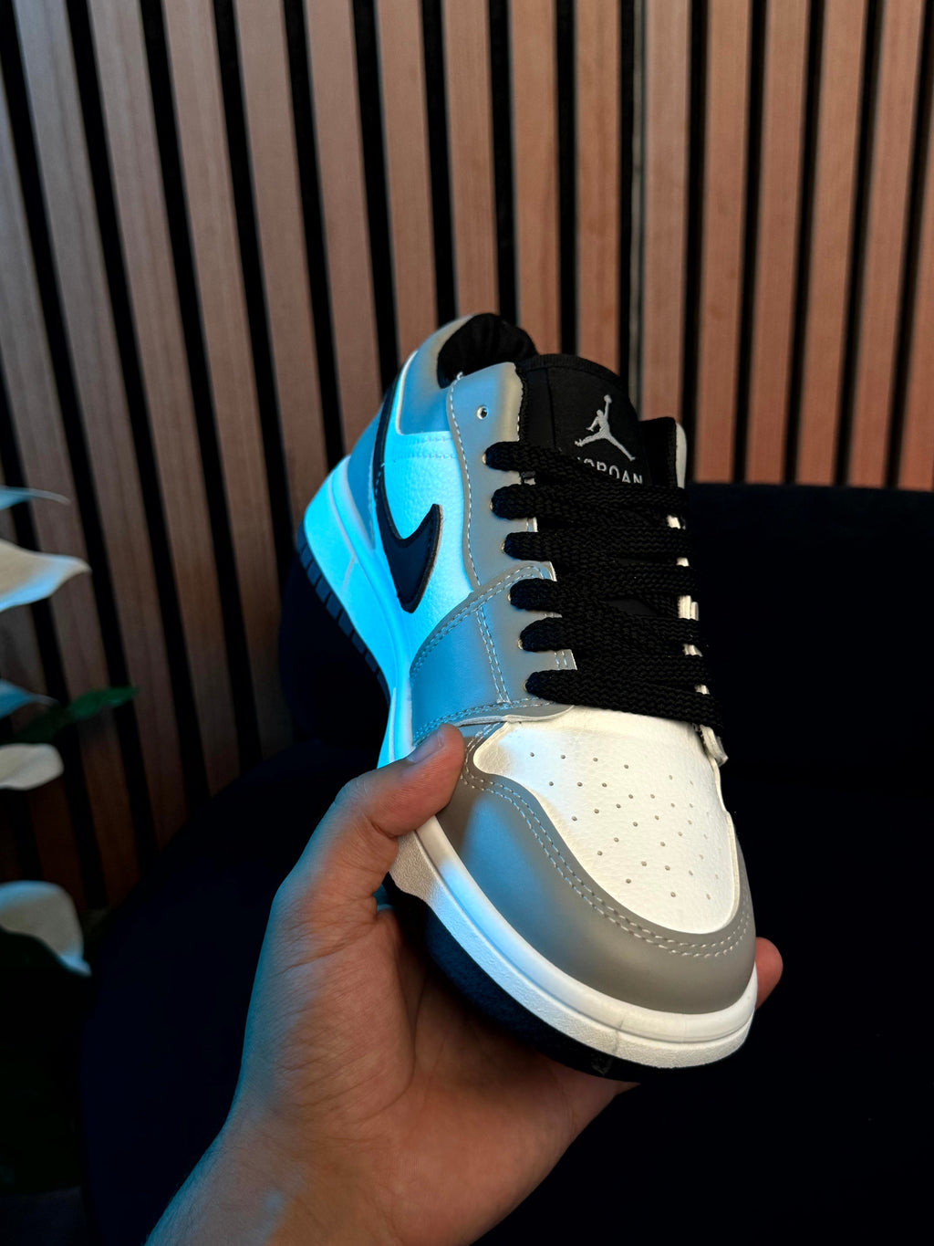 Nike dunk low grey JORDAN