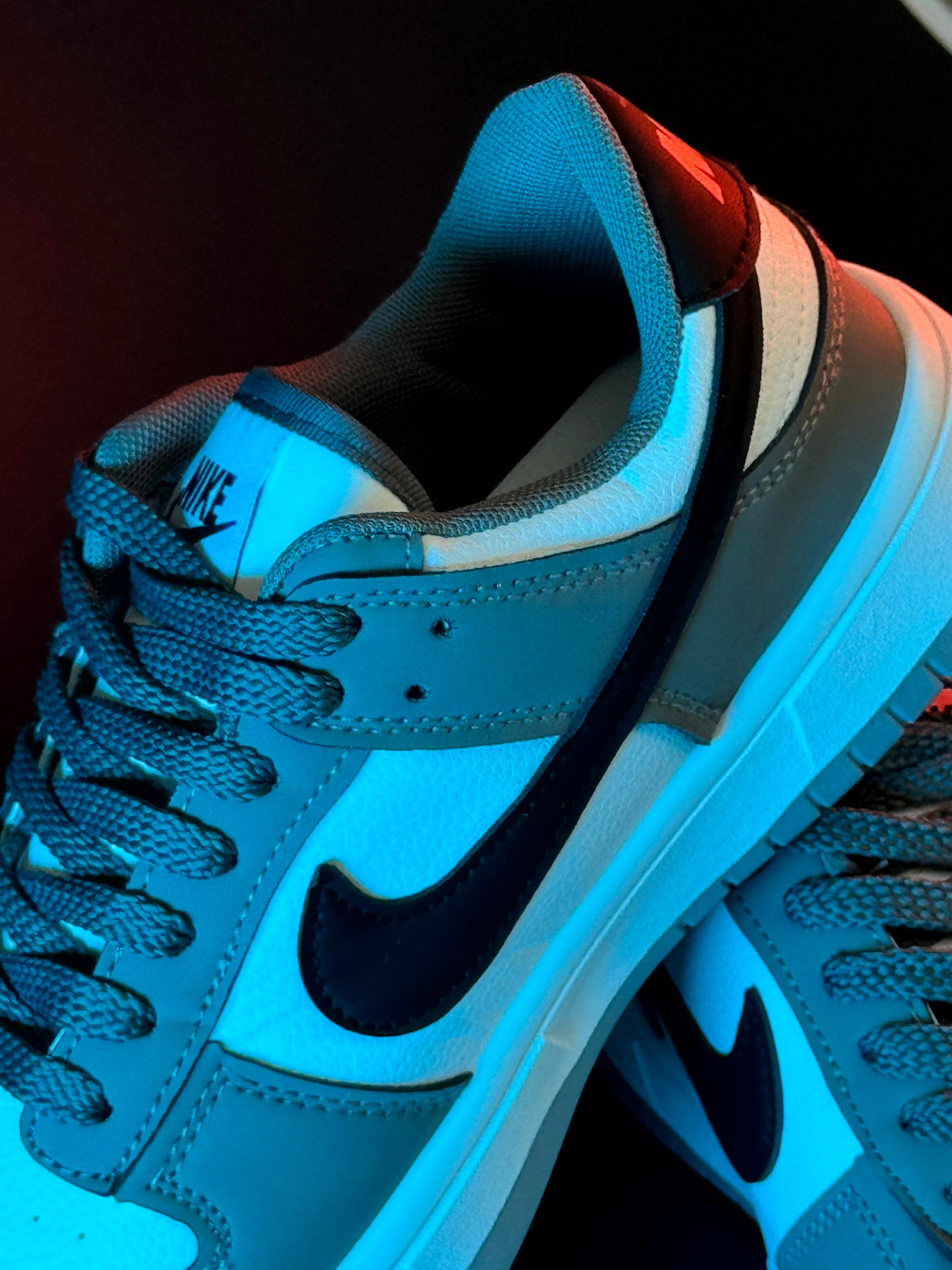 Nike dunk low grey new version